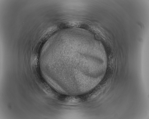 X0000112770597200909101553