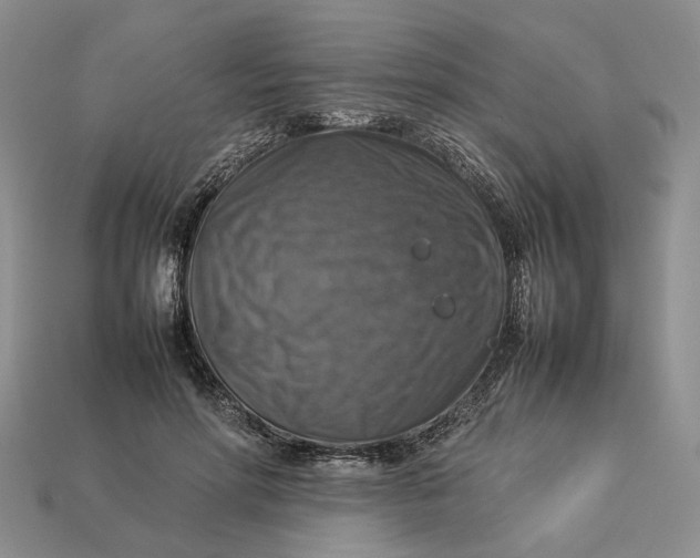 X0000112770598200909101553