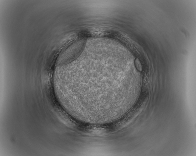 X0000112770601200909101553