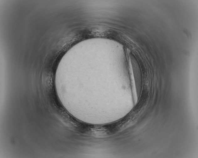 X0000112770603200909101553