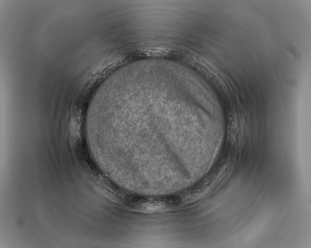 X0000112770604200909101553