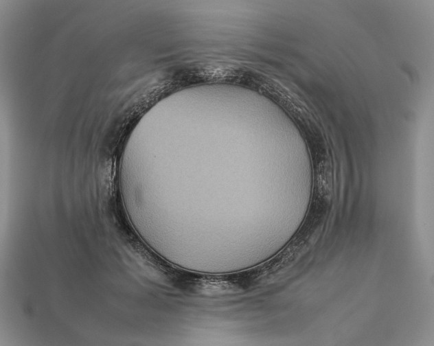 X0000112770605200909101553