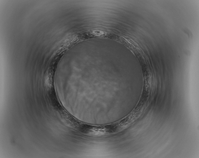 X0000112770606200909101553