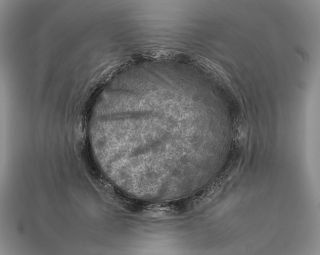 X0000112770607200909101553