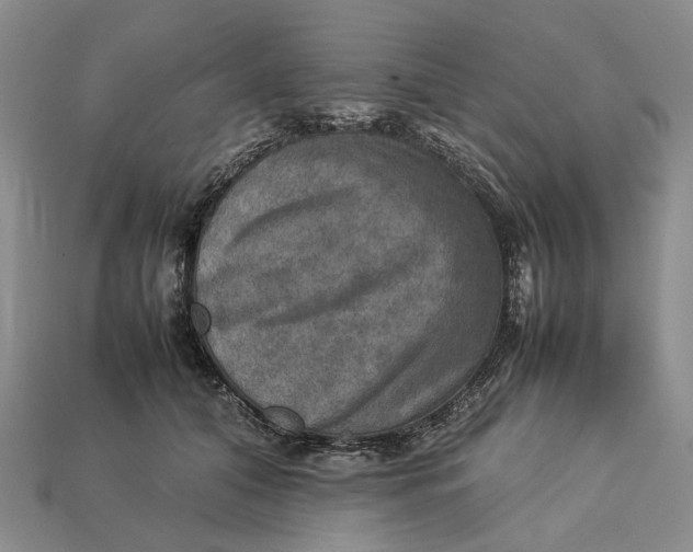 X0000112770608200909101553