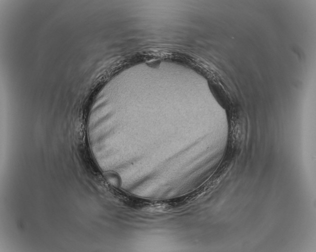 X0000112770609200909101553