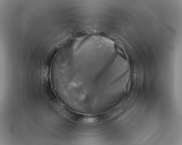 X0000112770610200909101553