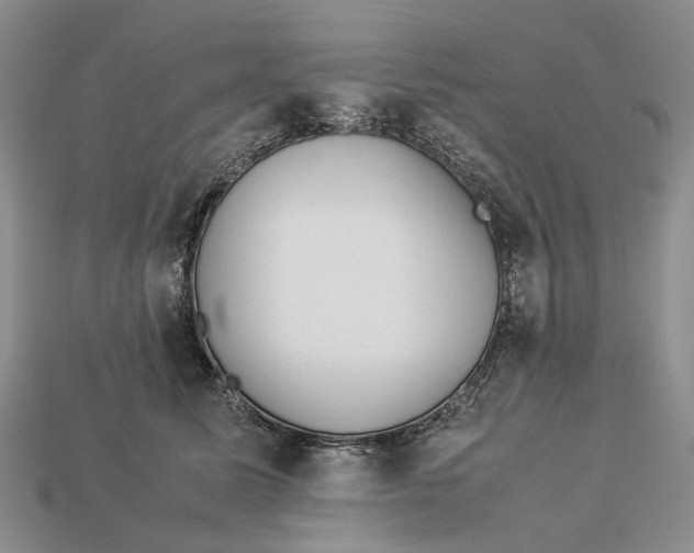 X0000112770611200909101553