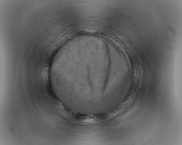 X0000112770612200909101553