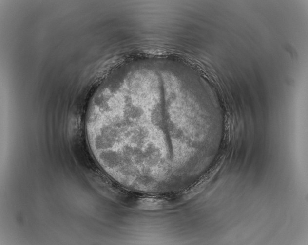 X0000112770614200909101553