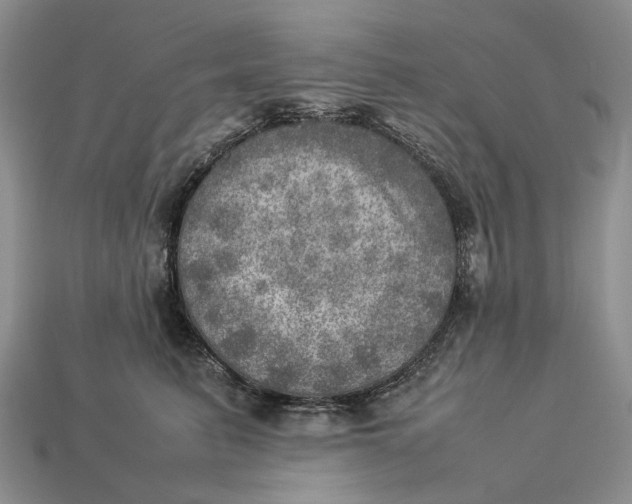 X0000112770615200909101552