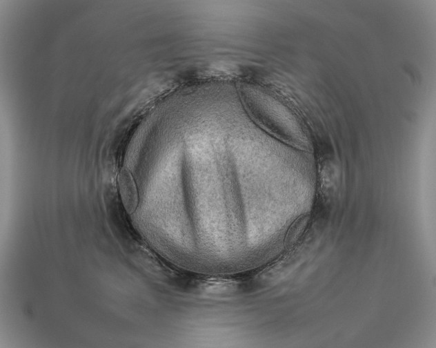 X0000112770617200909101552