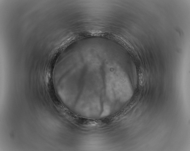 X0000112770618200909101552