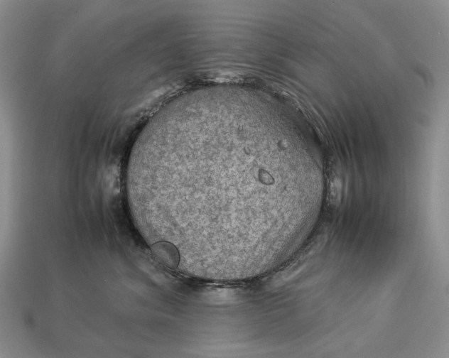 X0000112770620200909101552