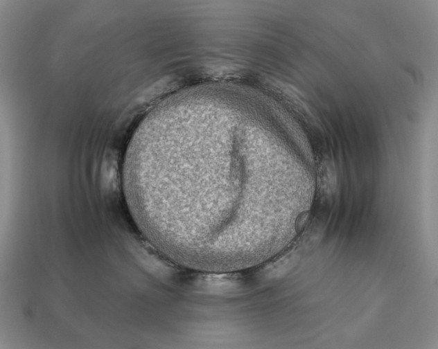 X0000112770622200909101552