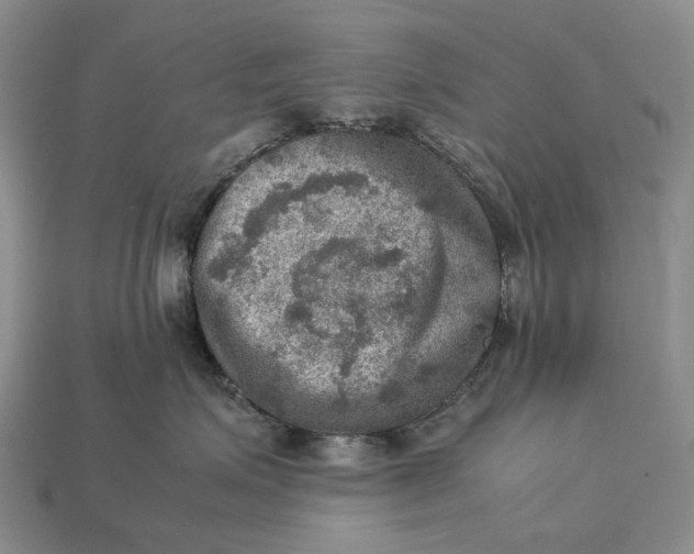 X0000112770623200909101552