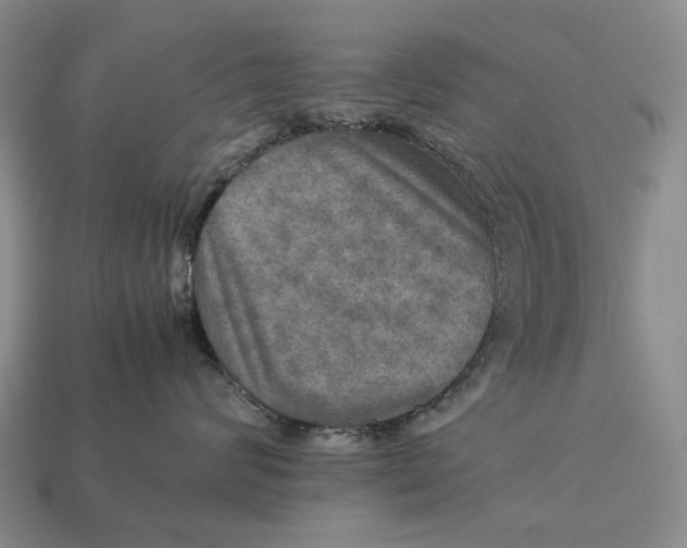 X0000112770624200909101552