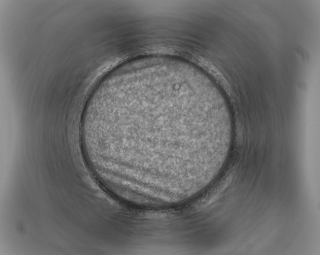 X0000112770625200909101552