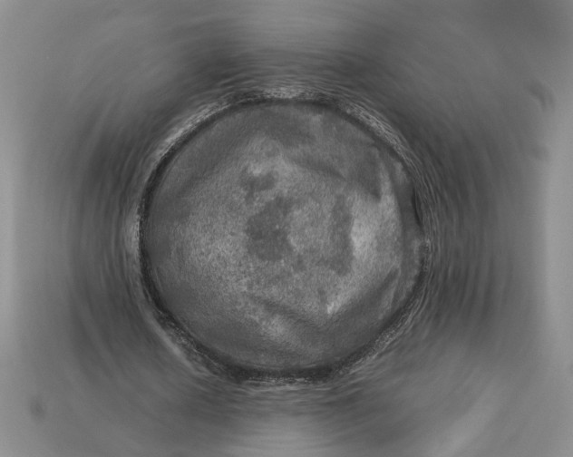 X0000112770626200909101552