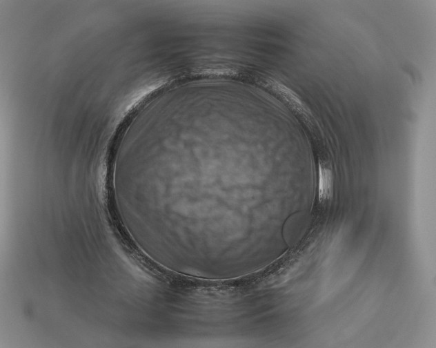 X0000112770627200909101552