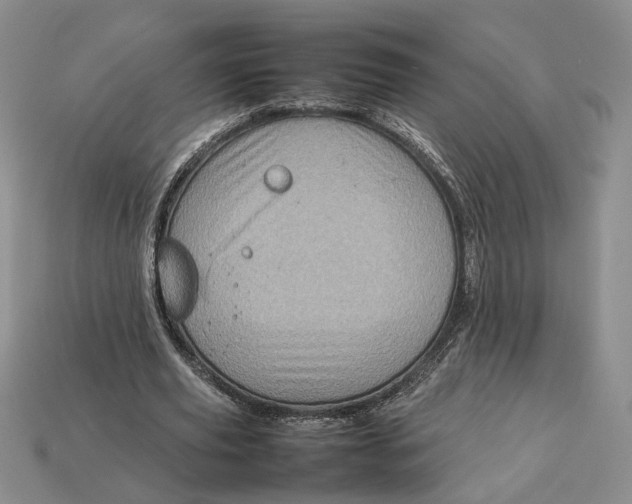 X0000112770629200909101552