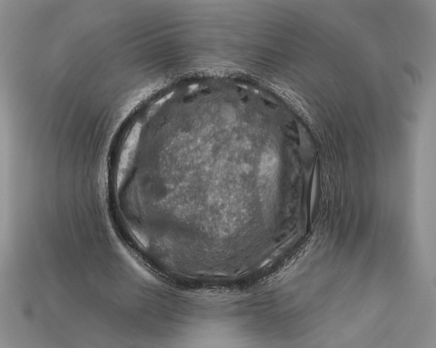 X0000112770630200909101552