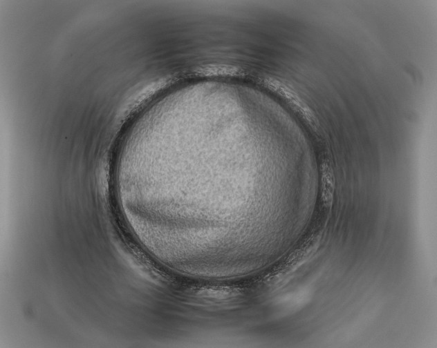 X0000112770631200909101552