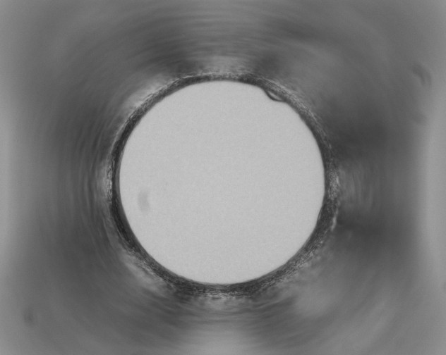 X0000112770632200909101552