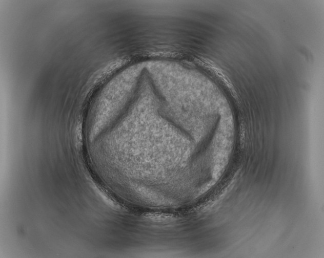 X0000112770633200909101552