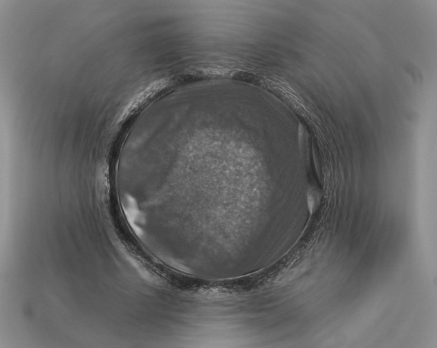 X0000112770634200909101552