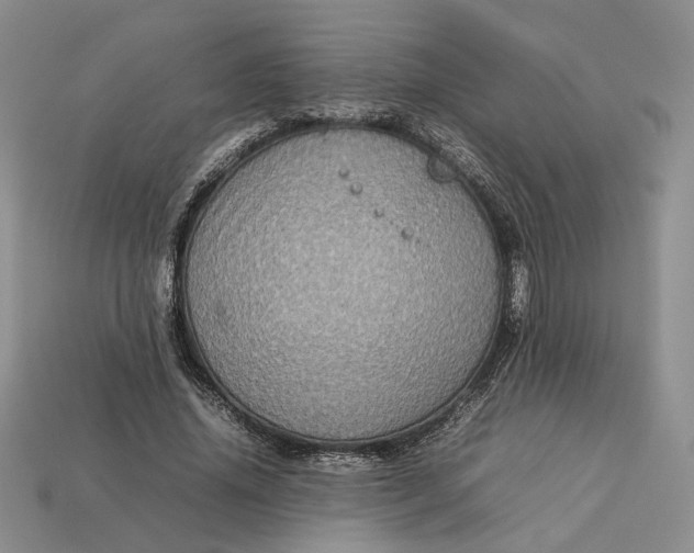 X0000112770636200909101552