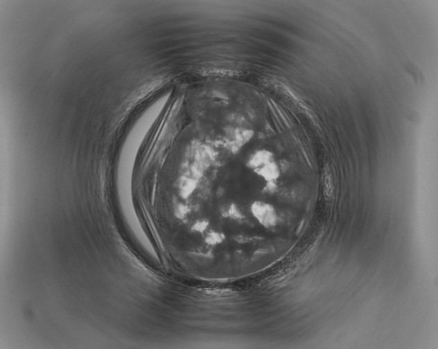 X0000112770637200909101552