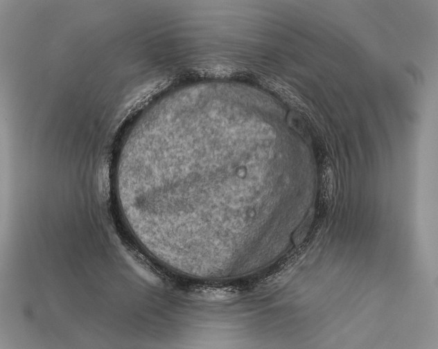 X0000112770638200909101552