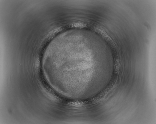 X0000112770639200909101552