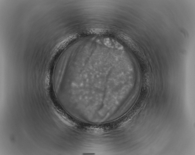 X0000112770640200909101552