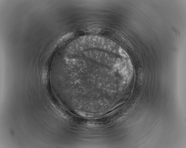 X0000112770641200909101552