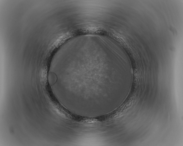 X0000112770642200909101552