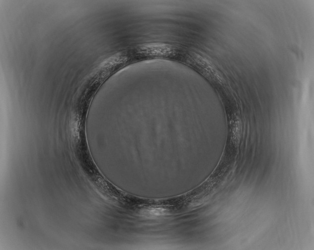 X0000112770643200909101552