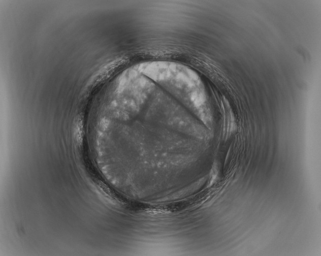 X0000112770644200909101552