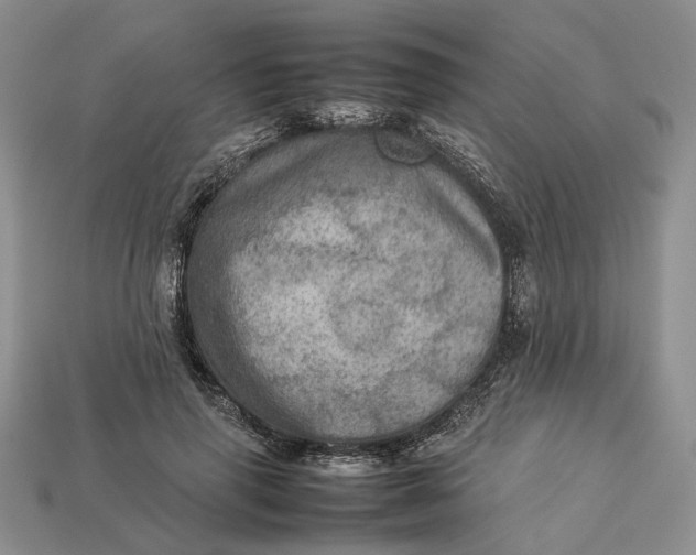 X0000112770645200909101552