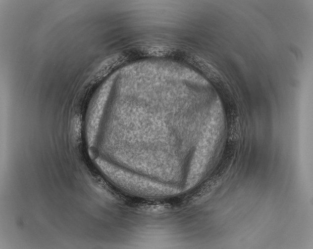 X0000112770646200909101552