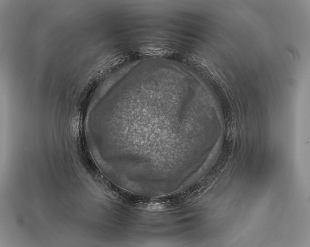 X0000112770647200909101552