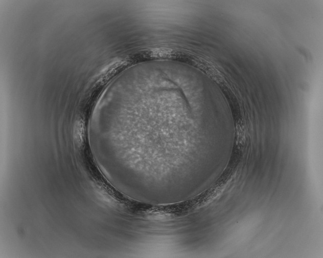 X0000112770648200909101552