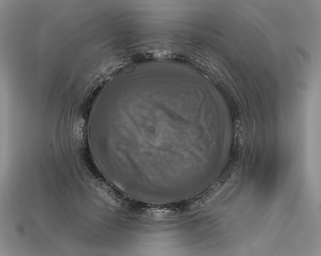 X0000112770650200909101552