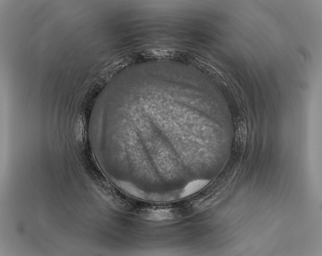 X0000112770651200909101552