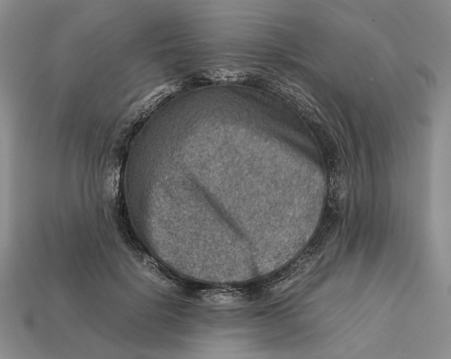 X0000112770652200909101552