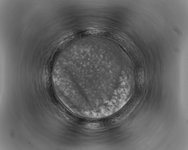 X0000112770653200909101552