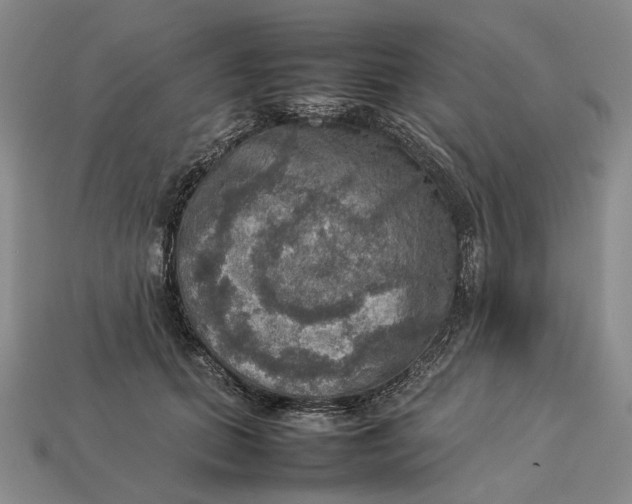 X0000112770655200909101552