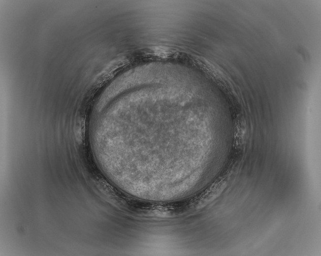 X0000112770656200909101552