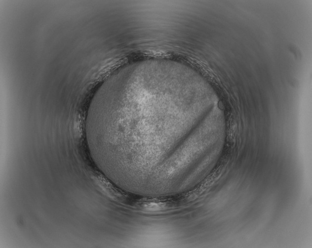 X0000112770658200909101552